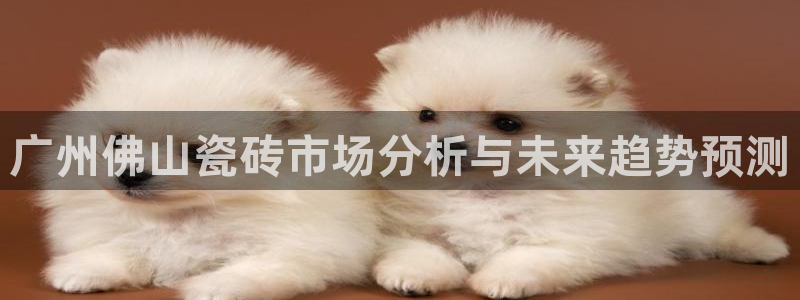 必一体育网站：广州佛山瓷砖市场分析与未来趋势预测
