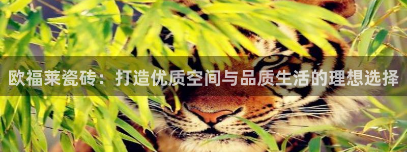 必一体育运动app下载