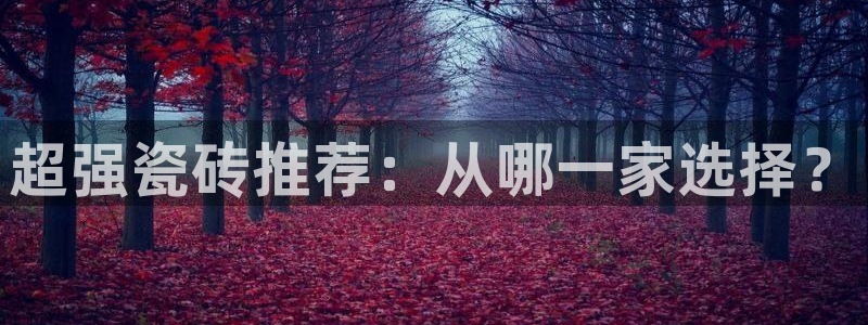 b体育必一下载
