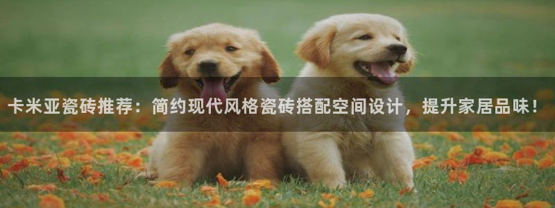 必一运动aop