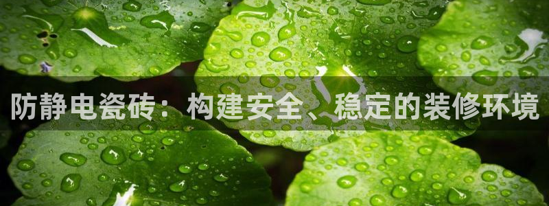 必一体育登陆