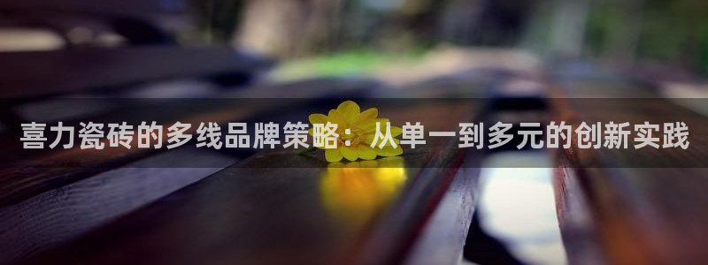 必一体育登入