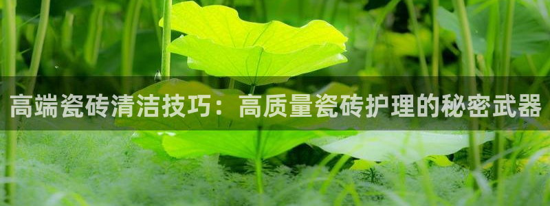 必一体育APP