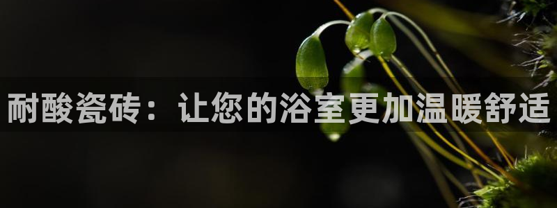 必一体育全站在线登录入口