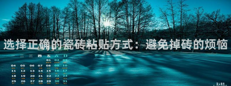 b体育必一运动网页版在线登录入口