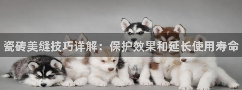 必一运动sport爱查股