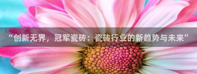 必一体育运动官网