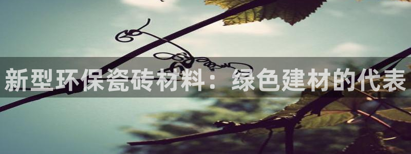 必一体育游戏特色