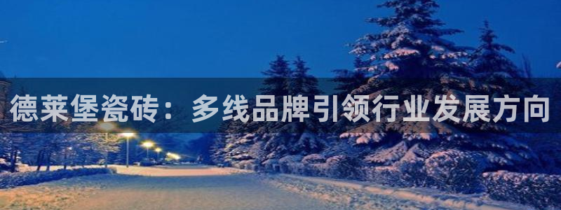 必一体育sport下载