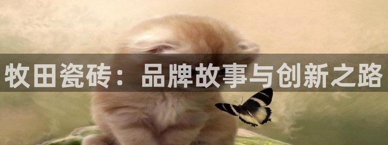 必一体育运动官网