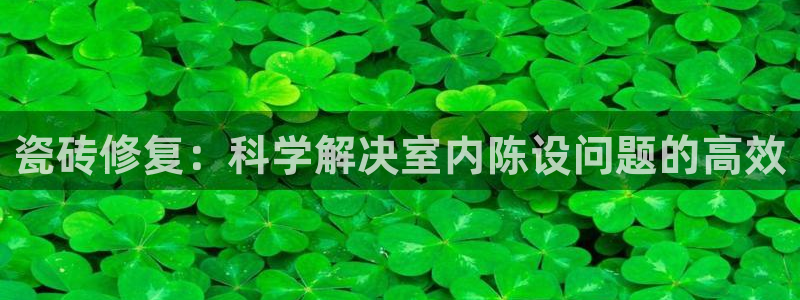 必一体育bsport下载