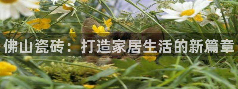 必一运动体育app