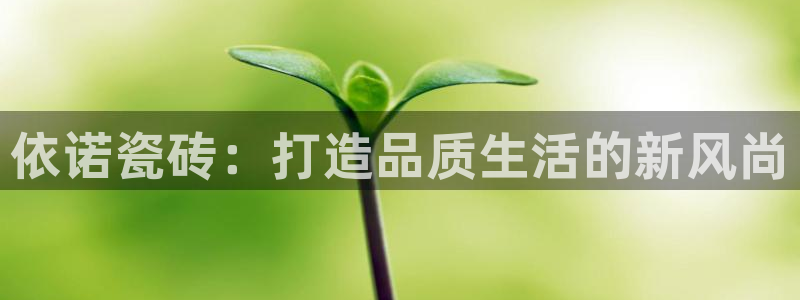 必一体育官网网站