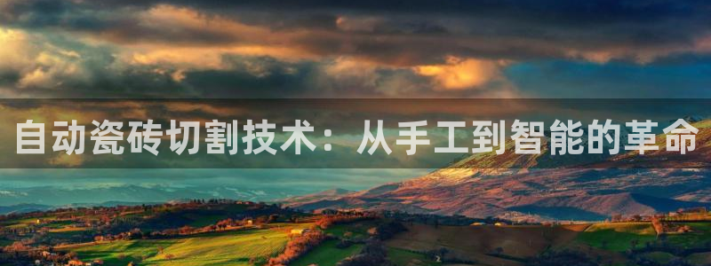 必一运动 b 体育素描版