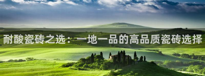 必一体育电子app
