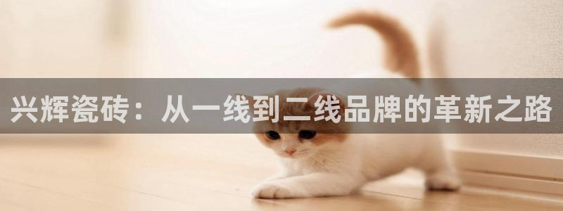 必一运动 b 体育素描版