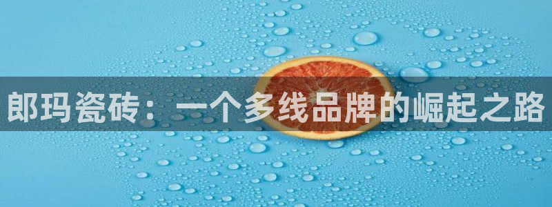 必一体育app下载装机吧