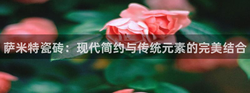 必一体育在线玩