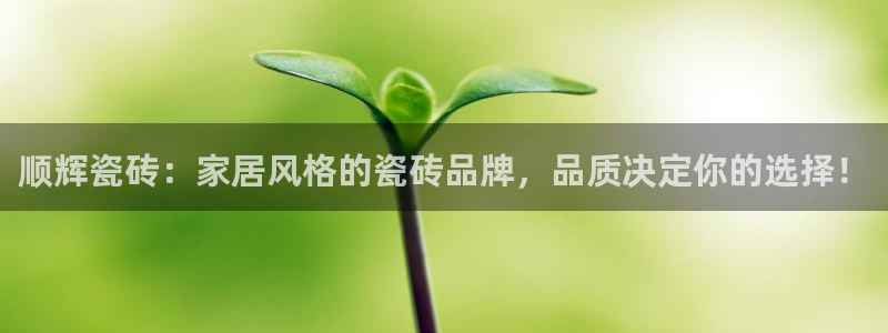 必一体育bsport下载
