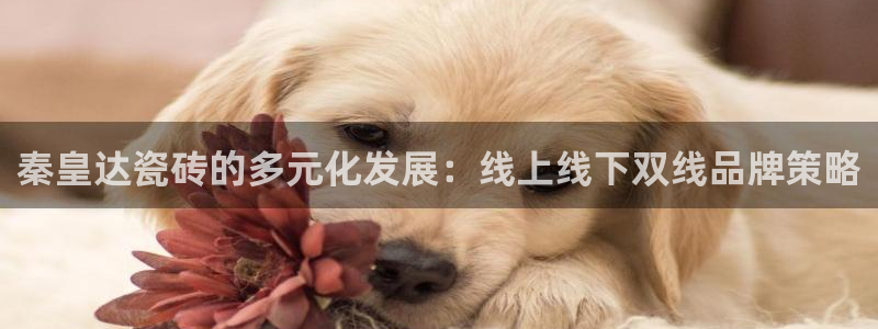 必一体育网址