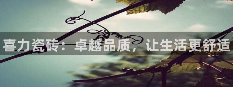 必一运动官网登录入口