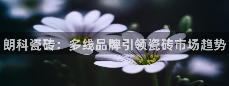 必一体育官网ios下载