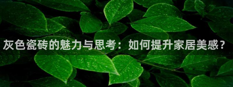 必一体育服下载最新版本更新内容