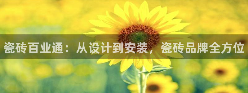 必一运动 b 体育素描版