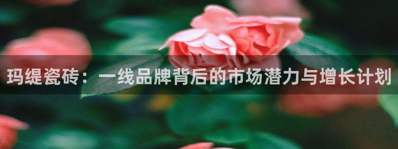 必一体育下载移动版