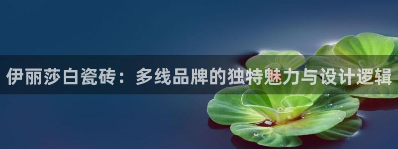 必一运动体育app