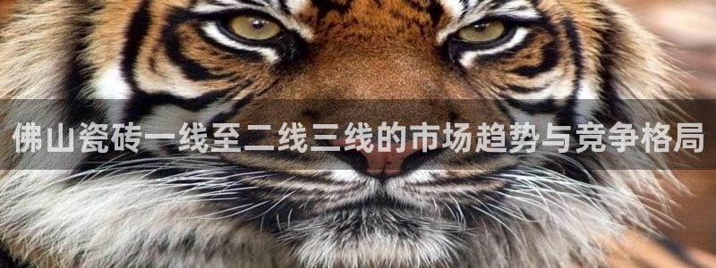 必一体育官网网址