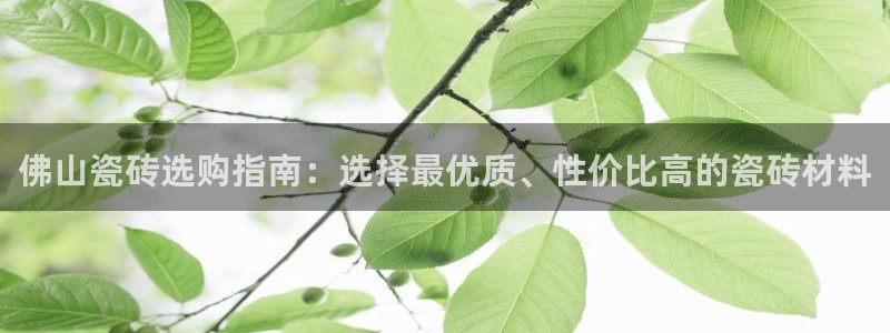 必一体育运动官网