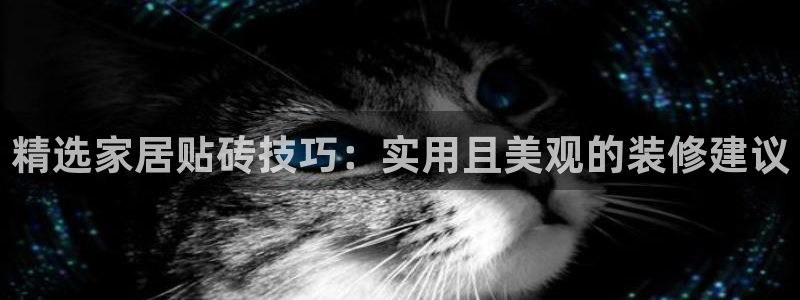必一体育sport官方网站