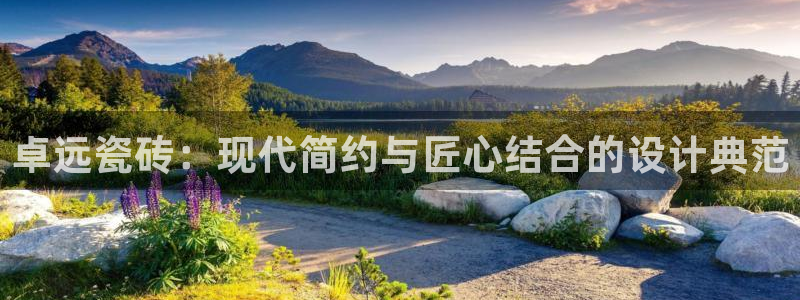 必一体育网址