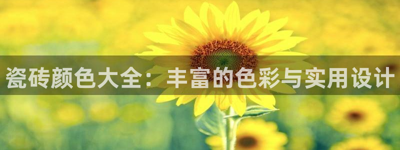 必一体育下载意思