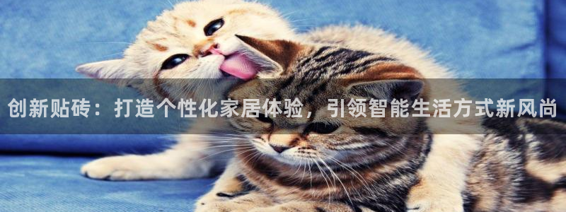 必一体育下载意思