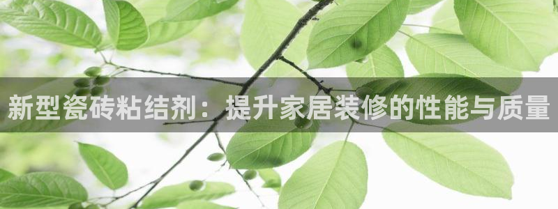 必一体育下载义