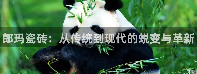 必一体育sport官方网站