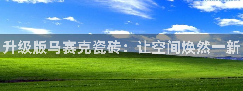 必一体育运动app下载