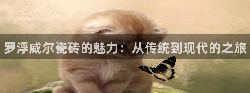 必一体育网站