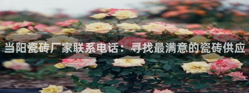 必一运动sport爱查股