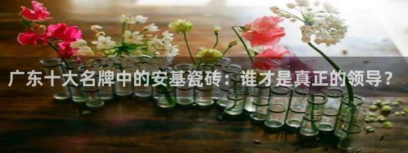 必一体育官方下载