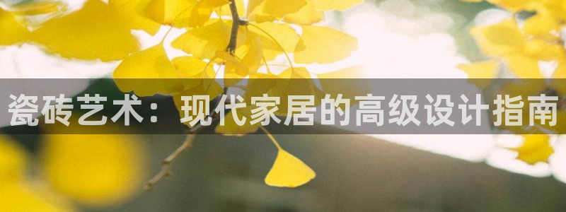 必一体育sport官方网站
