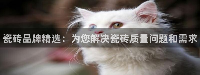 必一体育sport官网