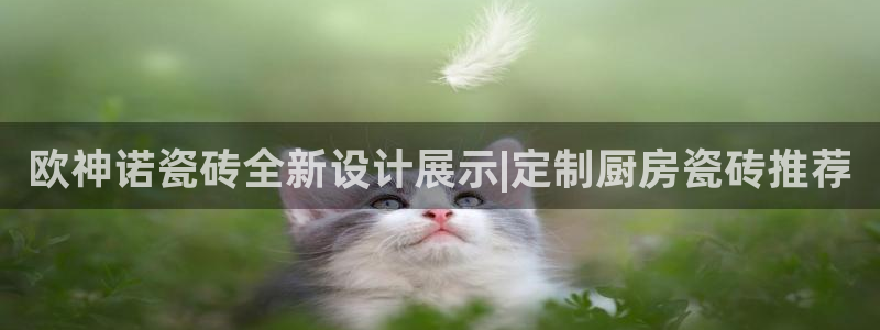 必一体育下载意思