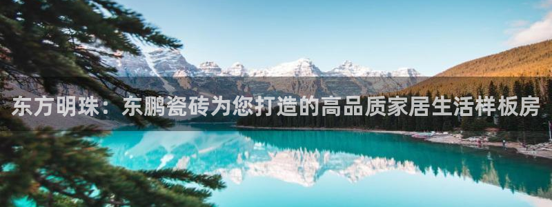 Bsport体育必一