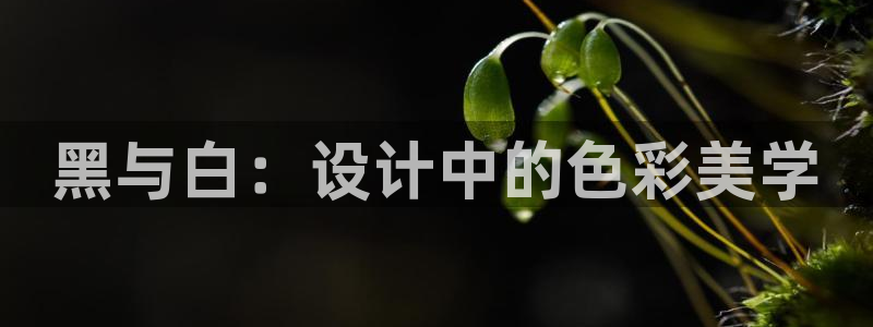 必一体育官方入口