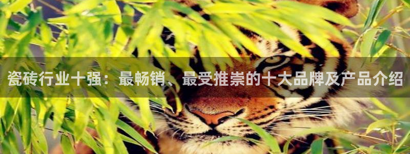 必一体育是啥