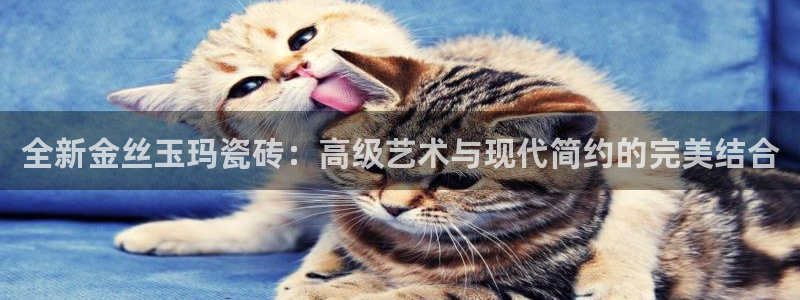 必一体育下载app下载