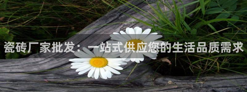 氵必一一厂一